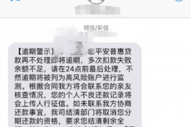 罗源专业讨债公司有哪些核心服务？